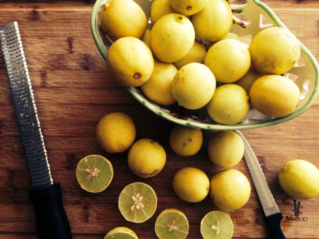 Key Limes2
